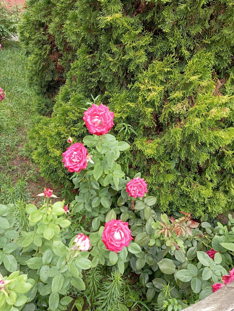 Гостиница Лайт Отель Волгоград-155