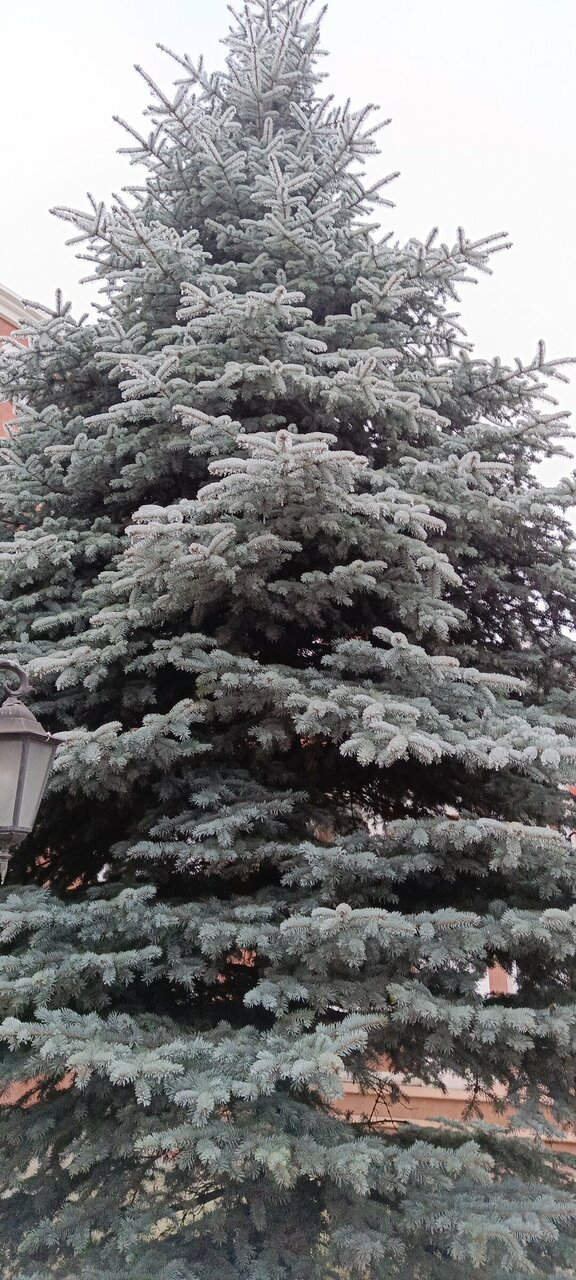 Гостиница Лайт Отель Волгоград-144