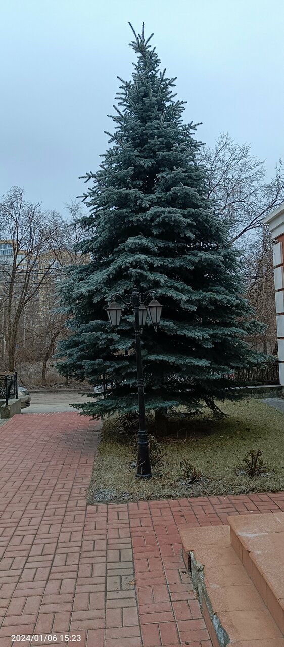 Гостиница Лайт Отель Волгоград-124