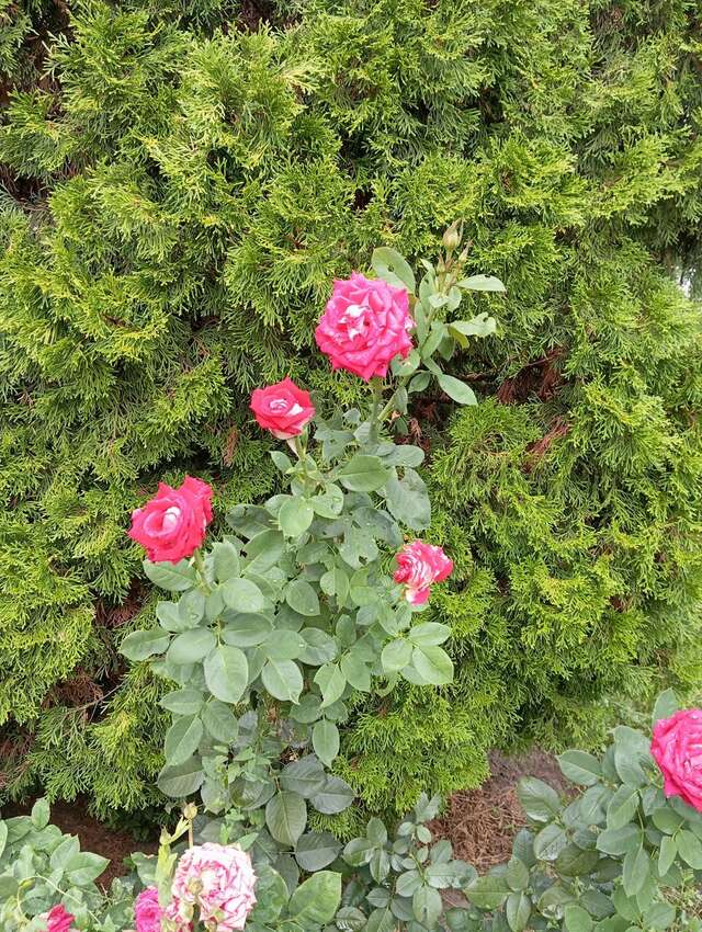 Гостиница Лайт Отель Волгоград-108