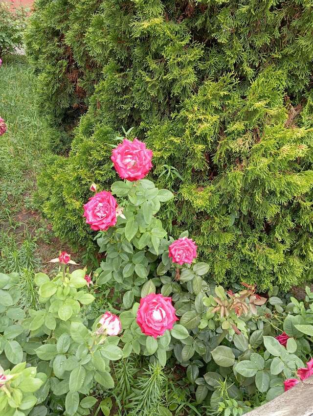 Гостиница Лайт Отель Волгоград-154