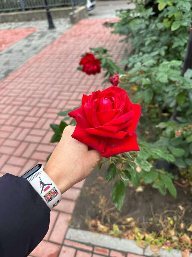 Гостиница Лайт Отель Волгоград-115