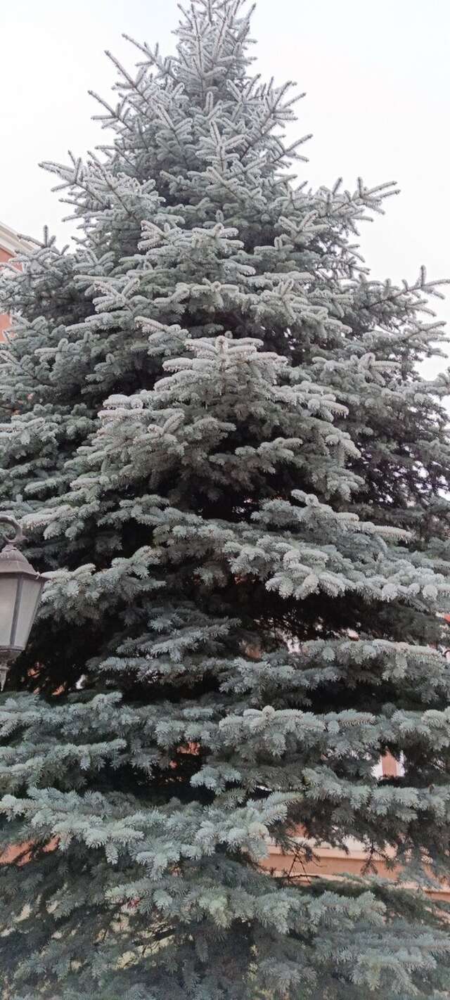 Гостиница Лайт Отель Волгоград-143